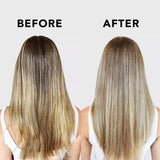 Purple Toning Shampoo Bar for Color Treated & Grey Hair |  Biotin去黃校色洗髮皂(美國製造)