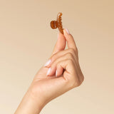 Kitsch Eco-Friendly Mini Arched Clips 6pc Set - Soft Pink, Mocha & Black | Kitsch 果凍感弧形迷你6件裝抓夾